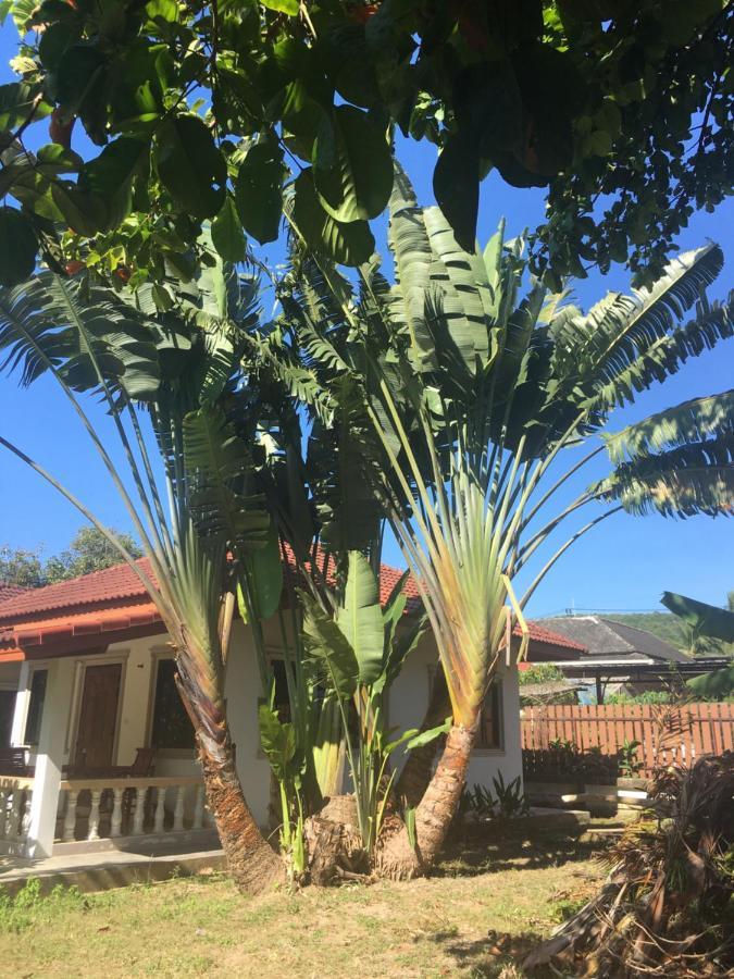 Samui Garden Resort Bang Rak Beach  Bagian luar foto