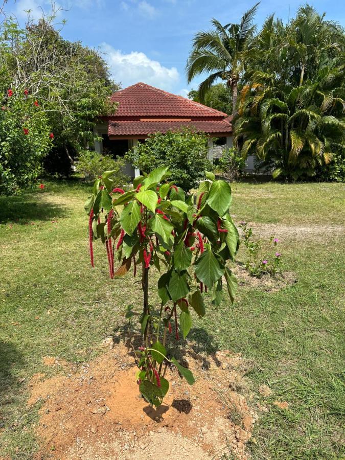 Samui Garden Resort Bang Rak Beach  Bagian luar foto