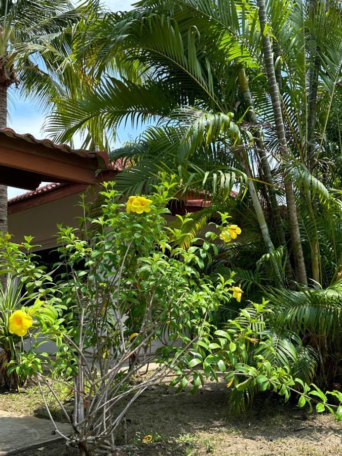 Samui Garden Resort Bang Rak Beach  Bagian luar foto