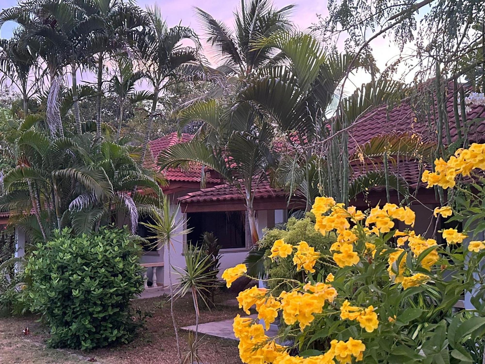 Samui Garden Resort Bang Rak Beach  Bagian luar foto
