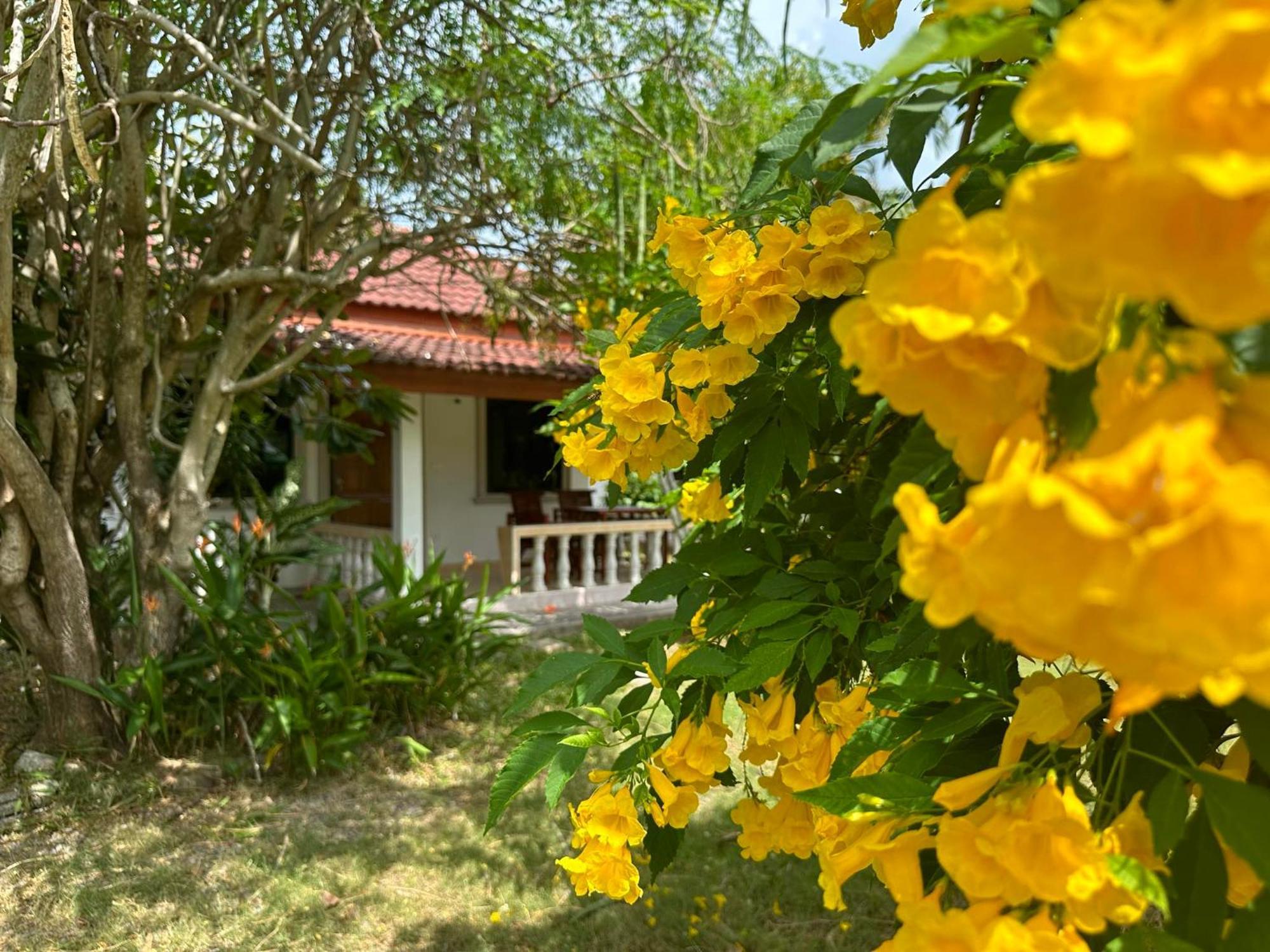 Samui Garden Resort Bang Rak Beach  Bagian luar foto