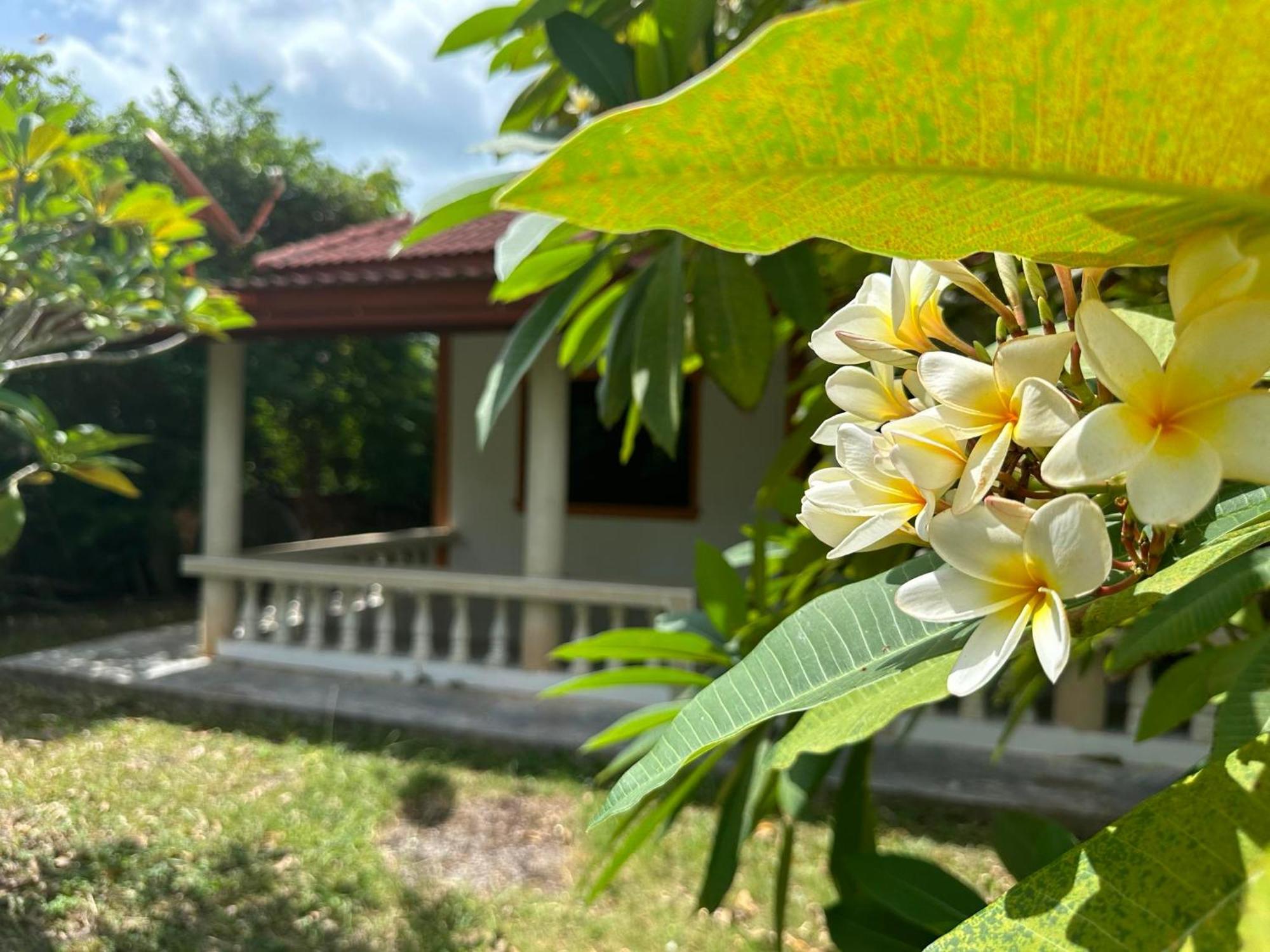 Samui Garden Resort Bang Rak Beach  Bagian luar foto
